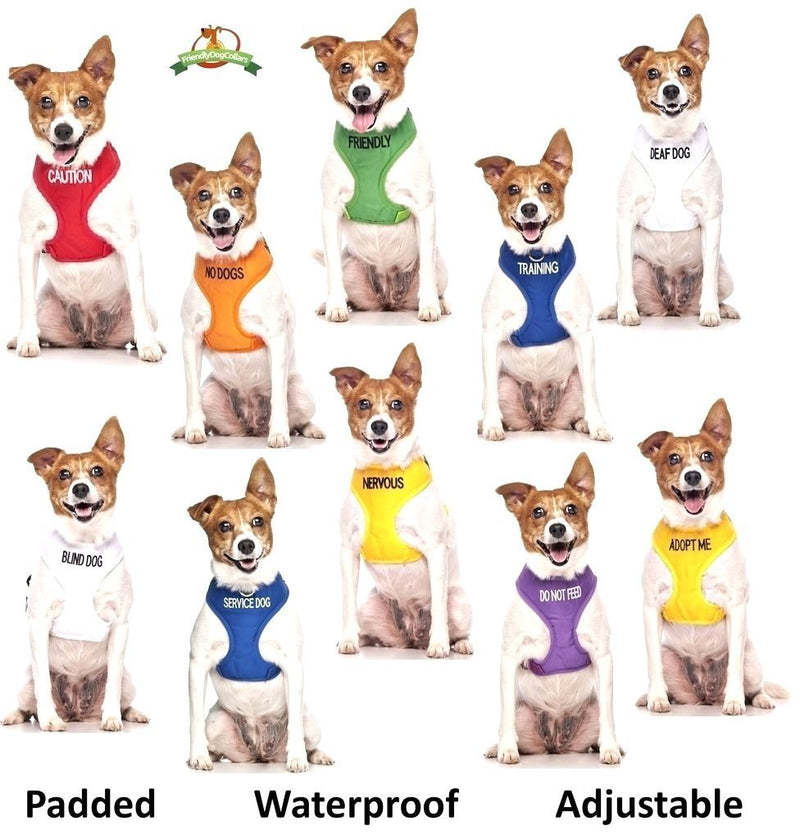 No Dogs Orange Color Coded Alert L-XL Non pull Dog Harness (Not Good With Other Dogs) Prevents Accidents By Warning Others of Your Dog in Advance