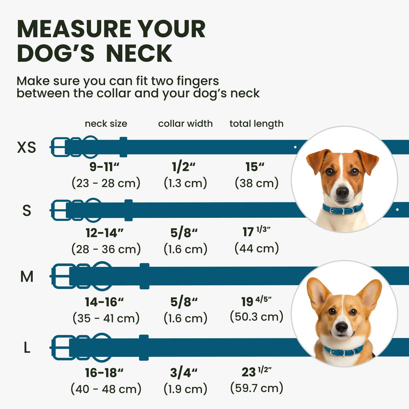 BRONZEDOG Rolled Leather Dog Collar for Small Medium Large Dogs with QR ID Tag (M: 14-16 Inch, Ocean Blue) M: 14 - 16 Inch