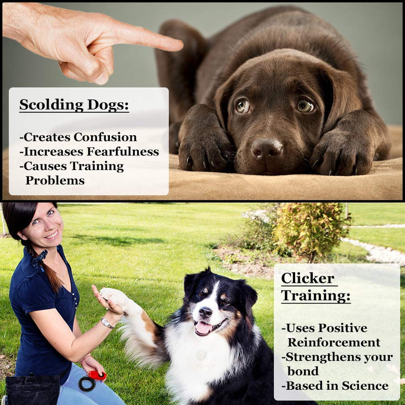 SunGrow Dog Training Clickers with Black Wrist Strap, Pet Parrot, Puppy, and Kitten Clickers Training Kit, Flat Drop-Shape Button, Blue and White, 2-Pack - PawsPlanet Australia