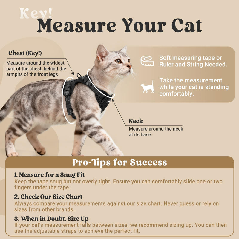 rabbitgoo Cat Harness and Leash, Escape Proof Vest with 3 Adjustable Buckles, Soft Comfortable Kitten Harness, Easy to Wear, Reflective for Safe Outdoor Walking, Medium, Black