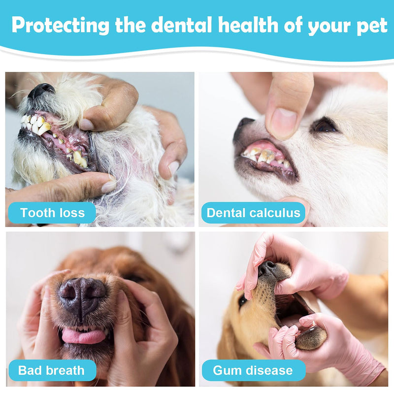 Dog Toothbrush Kit,Finger Toothbrush for Dogs,Toothbrush for Medium Large Dogs,Dog Teeth Cleaning Dental Care, ToothBrush Finger for bigger cats,Pet Toothbrush 4Pack - PawsPlanet Australia