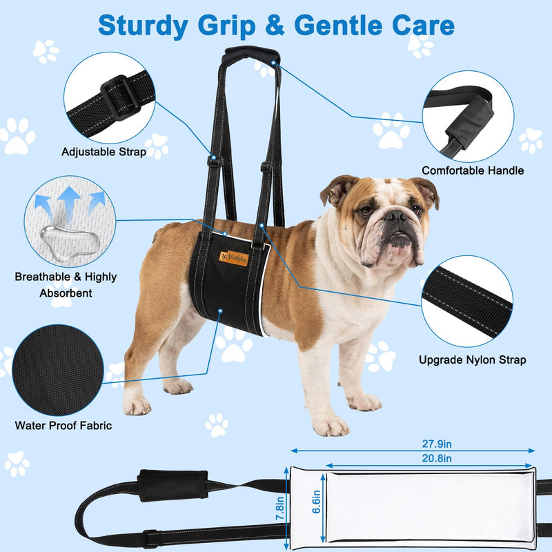 Vivifying Dog Lift Harness for Medium Dogs, Soft Bird's-Eye Cloth Hind Leg Support Sling, Adjustable Dog Lifting Harness for Weak Rear Legs, ACL Surgery Mobility Assist, M, Gray
