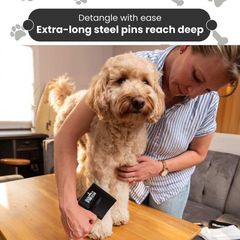 Slicker Brush for Dogs Kit by Doodle Me This Kingston and Hamilton includes comb treat pouch bag and guide turns stressful grooming into bonding gently detangles matted curly wavy coats at home - PawsPlanet Australia
