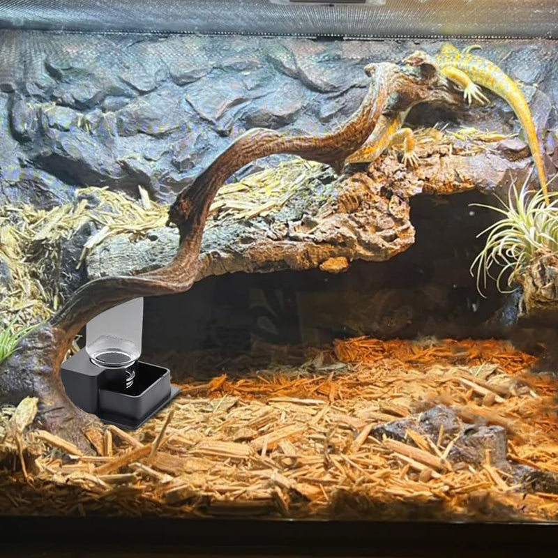1 Pack Small Reptile Water Bowl Automatic Water Dispenser for Reptile Gecko Lizard Terrarium Bowl Feeder (Black) - PawsPlanet Australia