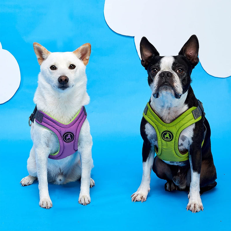 Gooby Escape Free Memory Foam Harness - Green, Large - No Pull Step-in Small Dog Harness with Four Point Adjustment - Perfect on The Go Dog Harness for Medium Dogs No Pull and Small Dogs Large Chest (16.5~24.25") - PawsPlanet Australia