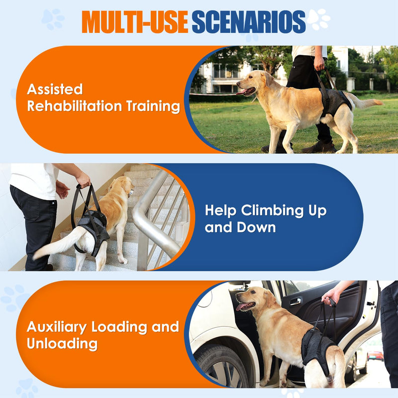 Eyein Adjustable Dog Lifting Harness - Comfortable Dog Sling Hip Support for Back Legs, Soft Hind Assistance Vest for Senior, Injured, Arthritic, Disabled and Aid After Acl Surgery(Grey,L)
