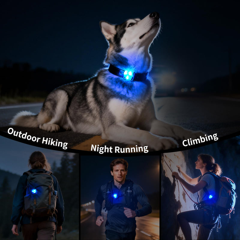 LaRoo LED Dog Collar Light - Waterproof Clip-On 3 Modes, High Visibility for Night Walking/Camping, Pet Safety Light for Small/Medium/Large Dogs (Blue) Blue-A - PawsPlanet Australia