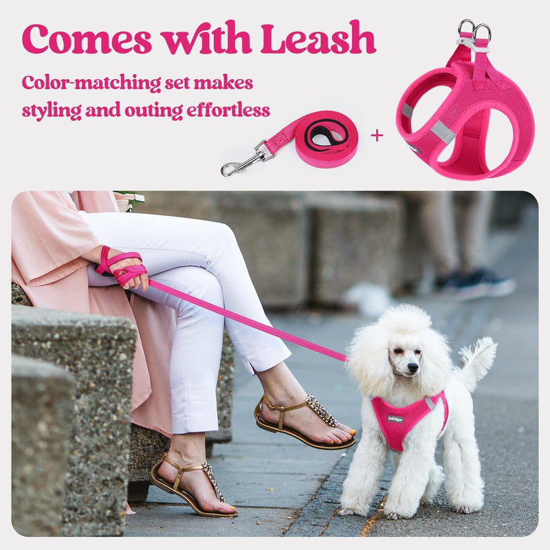 rabbitgoo Dog Harness Small Sized and Leash Set, Step in Soft Light Puppy Vest, Breathable Mesh Pet Harness, Reflective for Safe Easy Walking, Rose Red S S (Chest: 15.1 - 16.5") - PawsPlanet Australia