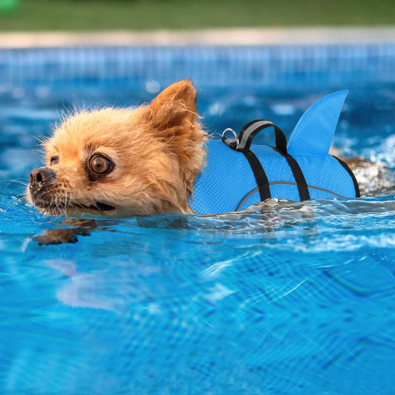 Queenmore Small Dog Life Jacket,Shark Dog Life Vest for Swimming,Puppy Light Life Preserver for Boating Kayaking Canoeing,Pet Lifesaver with High Buoyancy,Rescue Handle,Leash Hook (Peacock Blue,L) Large Peacock Blue - PawsPlanet Australia