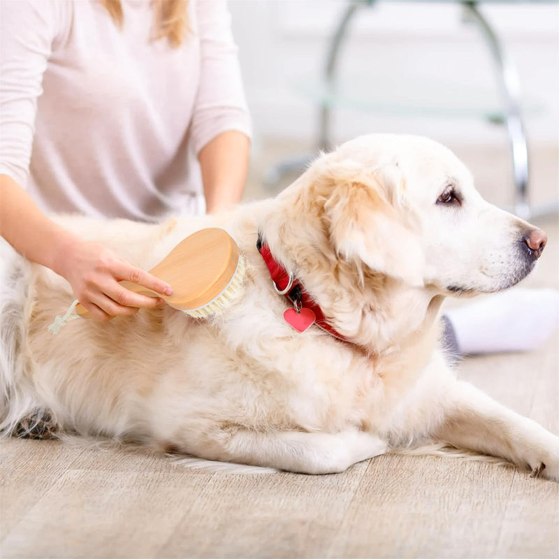 Dog Bath Brush Pet Shampoo Handle Bath Brush with Massage Points Dog Grooming/Washing/Massaging Wooden Brush Natural Bristle Dog Brush Removal Loos Hair for Cats Dogs - PawsPlanet Australia