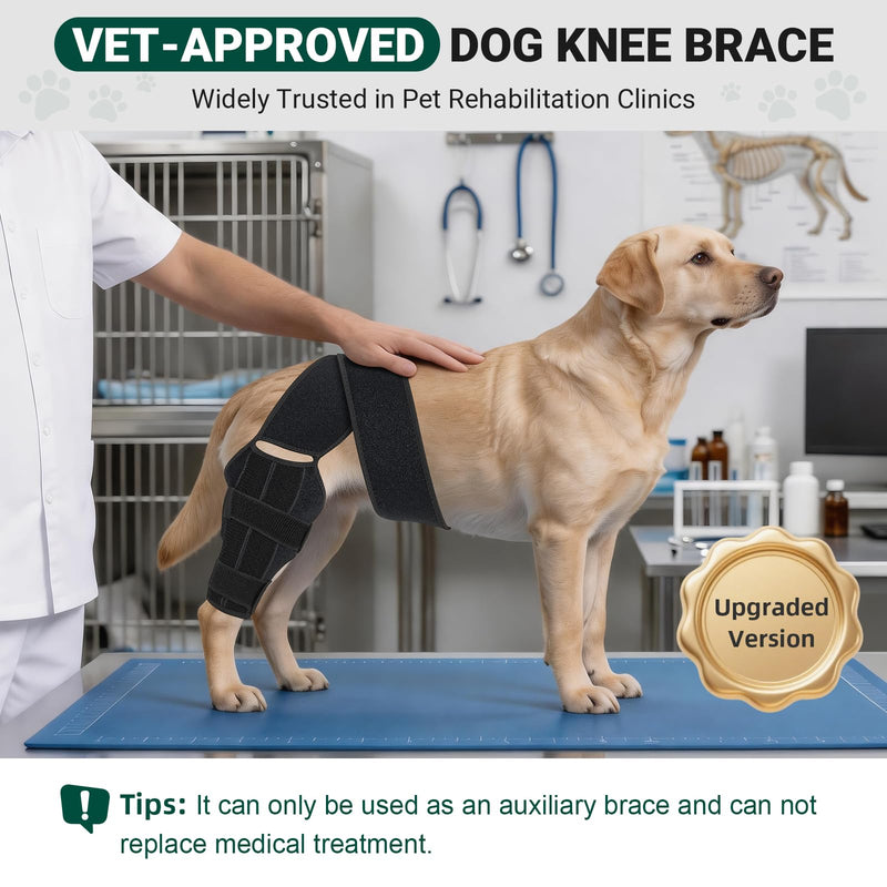 Dog Knee Brace for Back Leg, Adjustable Elbow Braces with Stabilizers, Canine Joint Support for Torn ACL, Luxating Patella, Arthritis, Ligament Injury and Post-Surgery Recovery, Universal (S) S