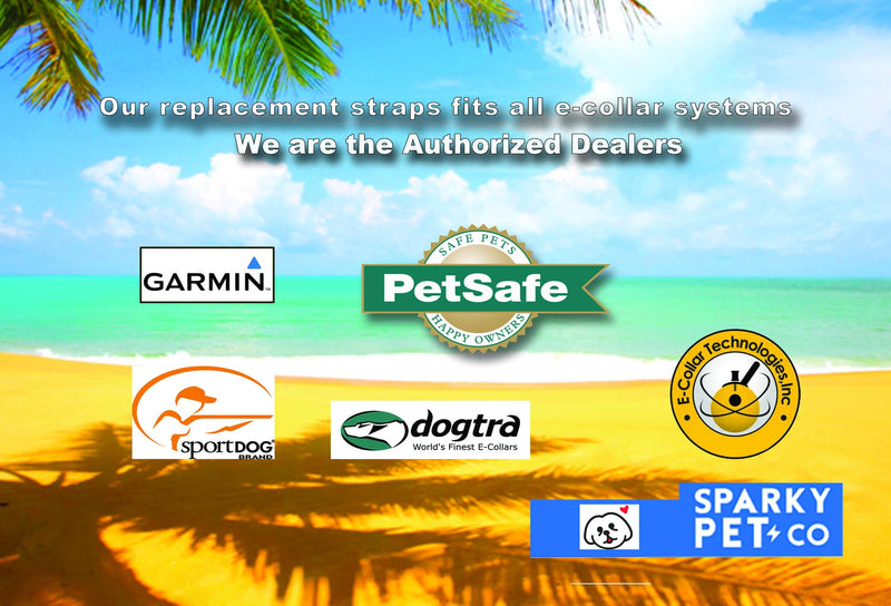 Replacement Strap for SportDOG Collars - 3/4" Wide Ultra-Durable Dog E-Collar Replacement for Training, Bark, Shock, Electric, and GPS Collars - 28" Adjustable Length SportDOG (Neon Yellow- FBA) - PawsPlanet Australia