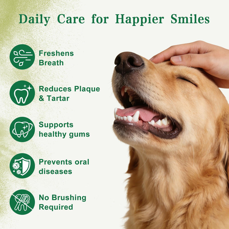 Dog Dental Powder with 750,000,000 CFU Probiotics, Advanced Dog Teeth Cleaning Powder to Reduce Plaque & Tartar, Dental Care for Dogs, Breath Freshener & Teeth Cleaning Made Easy for All Dogs 3.5 Ounce (Pack of 1) - PawsPlanet Australia