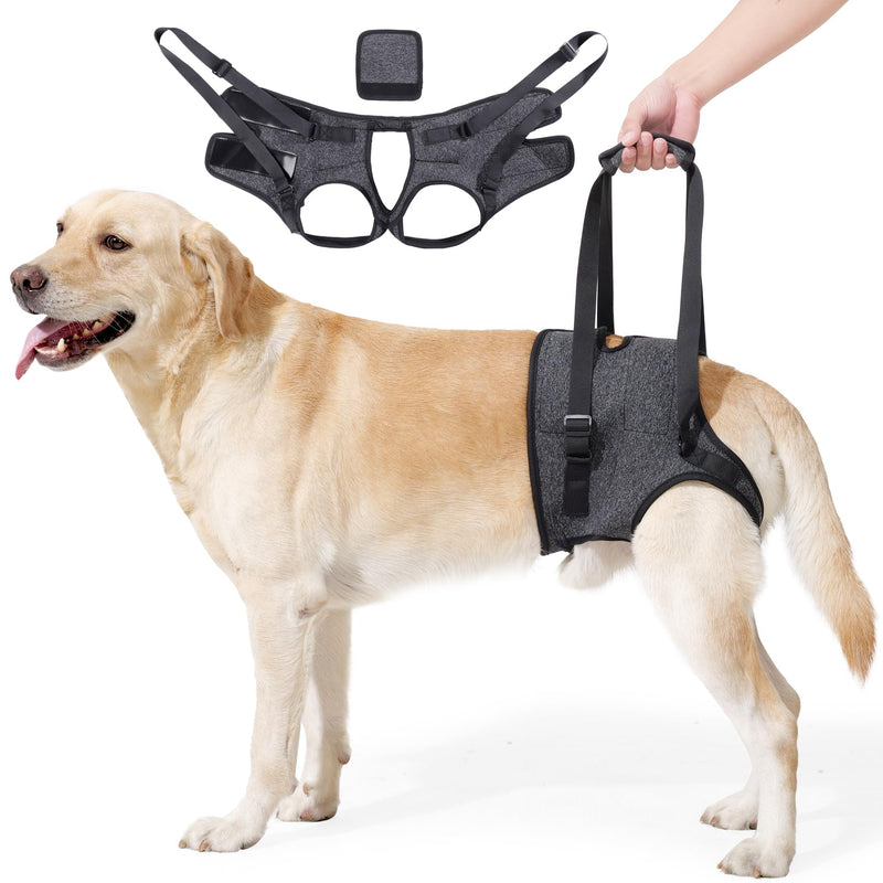 Dog Lift Harness for Back Legs - Adjustable Support Sling for Injured, Disabled & Elderly Dogs, Soft Padded Leg Brace Aid for S/M/L Dogs, Walking & Rehab Support (Dark grey, M) Dark grey
