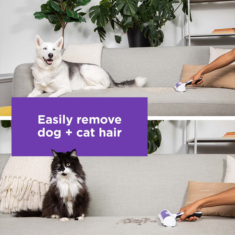 BLACK+DECKER Pet Hair Remover, Roller, Remove Dog Hair and Cat Hair Easily (HMSCT0001) - PawsPlanet Australia