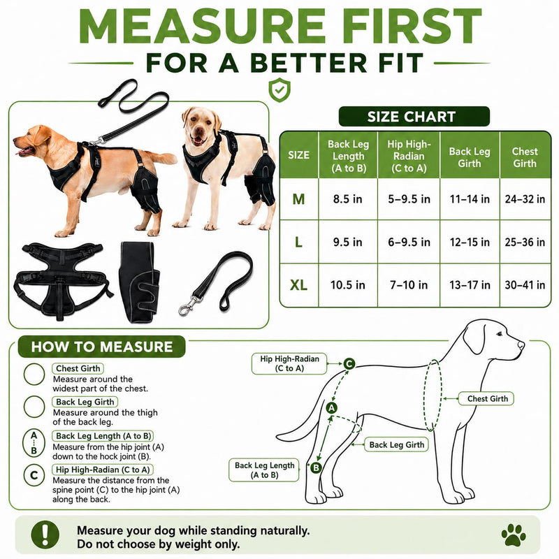 (M Dog Rear Leg Brace with Safety Harness and Leash, Adjustable Hind Leg Knee & Hip Support Wrap for Senior Dogs, Removable Straps for Weak Back Legs, Arthritis or Hip Dysplasia Support (M)