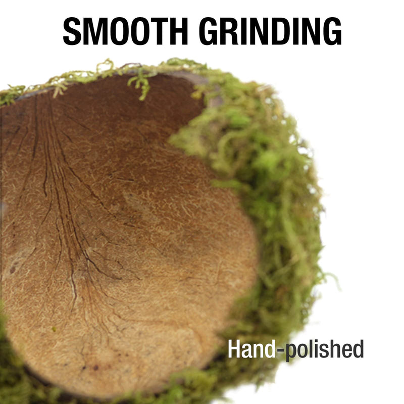 Hamster Hideaway,Mossy Cave Hide,Hamster House/Hides,Hamster Cage Accessories for Gguinea Pig/Hedgehogs/Gliders/Rats/Mice and Other Small Animals (Large) Large - PawsPlanet Australia
