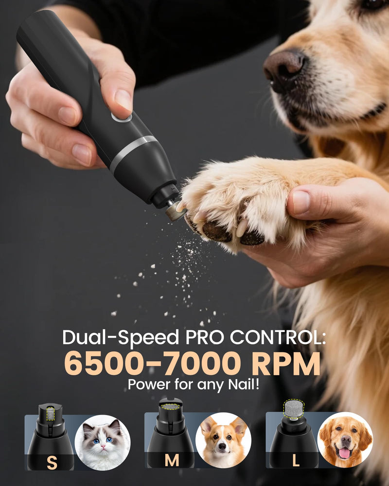 4 in 1 Dog Clippers for Grooming Thick Hair, 2000mAh Heavy Duty Dog Grooming Kit, 2-Speed Low Noise Dog Paw Trimmer with Nail Grinder for Body, Paws, Nail, Face, Ears, Legs - PawsPlanet Australia