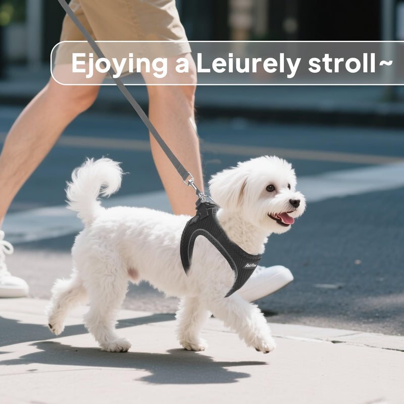 PetiFine Step in Small Dog Harness and Leash Set, Breathable All Weather Air Mesh Reflective Escape Proof, Step-in Vest Harnesses for Puppy(S, Black) S | Neck: 12.6''-13.8'' Chest:16.1''-17.7'' | - PawsPlanet Australia
