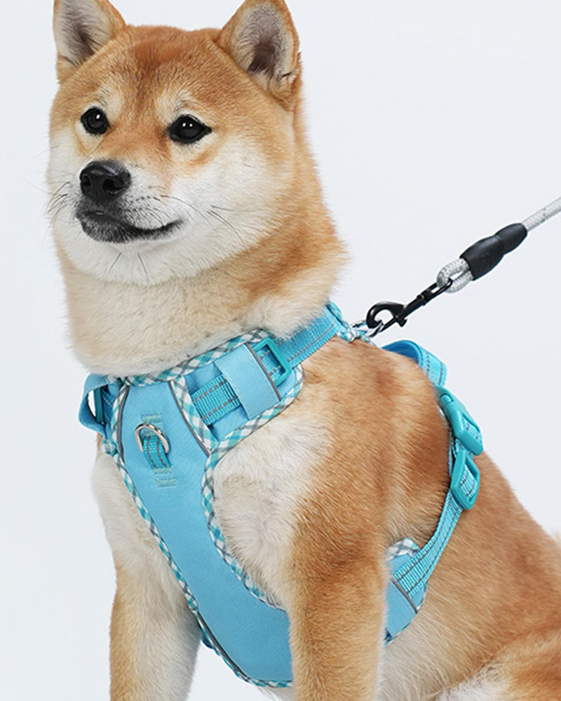 Petank Dog Harness Medium Sized Dog, Puppy Harness Medium Size Dog for Dog Training Walking, No Pull Dog Harness for Medium Dogs, Medium Dog Harness (Blue, M) Blue - PawsPlanet Australia