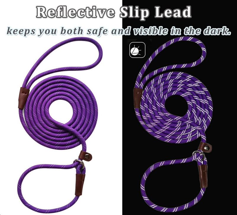 WYUZE 2 Pack 8 ft Slip Lead Dog Leash, Reflective No Pull Dog Training Lead, 1/3" Nylon Rope Slip Leash for Small Medium Dogs Purple+Green 8 Foot - PawsPlanet Australia