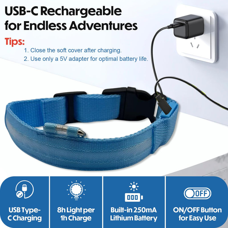 Light Up Dog Collar – Reflective, Adjustable & Rechargeable Electronic Glow Pet Collars – Bright, Comfortable, High Visibility LED Dog Collar for Night Safety, Outdoor Walk & Flashing Fun, Blue, Small