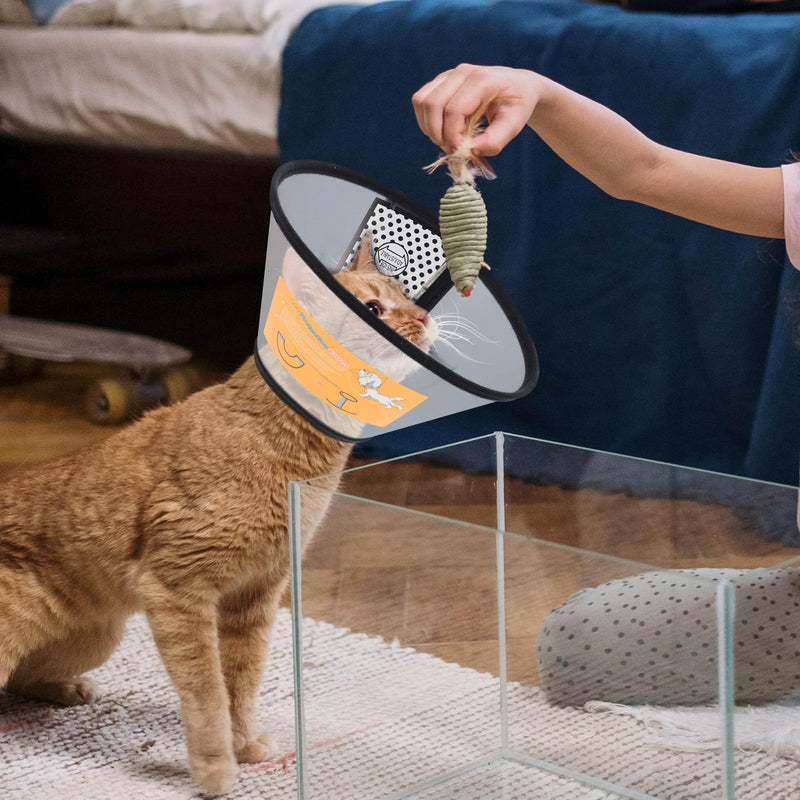 Beavorty 2-piece neck protection collar for dogs and cats made of PP material, scratch-resistant and protective for the recovery phase after surgery or injuries