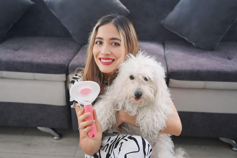 Essential Pet Supplies: Pet Collar for Small Dogs with Reflective AirTag Holder and Secure,Comfortable Padding Bundled with Safe Dog Nail Clippers and Self-Cleaning Dog Brush PINK - PawsPlanet Australia