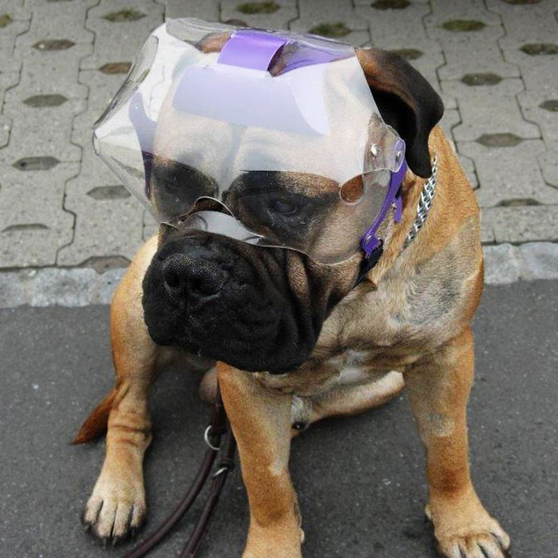 Optivizor Short Snout Dog Eyes & Face Protector, X-Large 100+ Lbs, Head Measurement 9.5+ inches