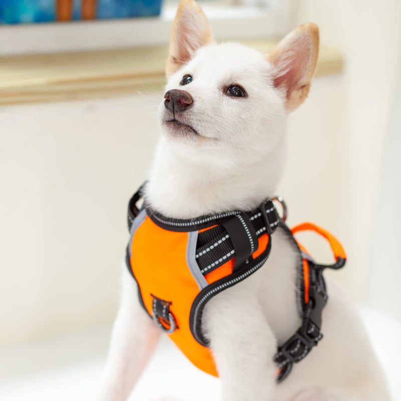 No Pull Dog Harness, Reflective Walking Dog Harness with Easy Control Handle and Front & Back Clips,Adjustable Breathable Soft Padded Dog Vest Harness for Large Medium Small Dogs,Orange,S Tango - PawsPlanet Australia