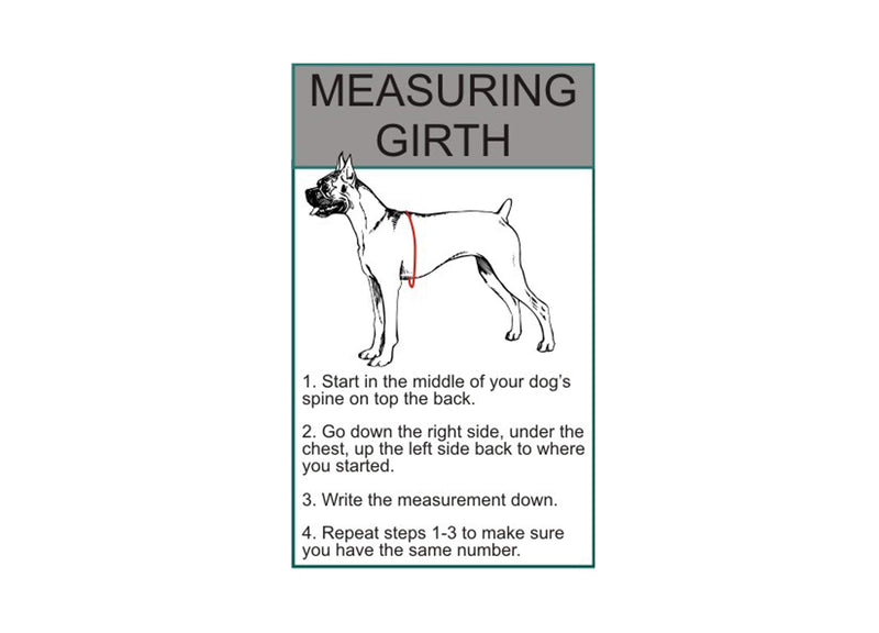 Doggie Stylz Set of 2 Reflective Service Dog Removable Patches with Hook Backing for Working Dog Harnesses & Vests. Durable and Interchangeable - (Medium 4" X 1.5") Medium 4" x 1.5" - PawsPlanet Australia