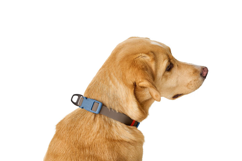 HUNTER Havana Dog Collar Taupe / Smoke Blue with Plastic Coating Fully Adjustable Click Fastener Durable Tear Resistant Weather-Resistant Easy Care Gunmetal Look Size XL Taupe/Smoke Blue
