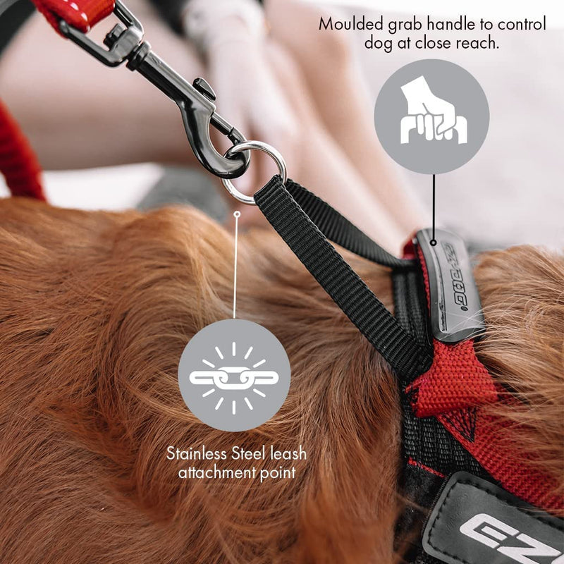 EZYDOG Express Dog Harness | Dog Harness for Small, Medium and Large Dogs, Angled Ergonomic Design, Moulded Grip Handle, Easy Release Side Buckle (M, Pink)