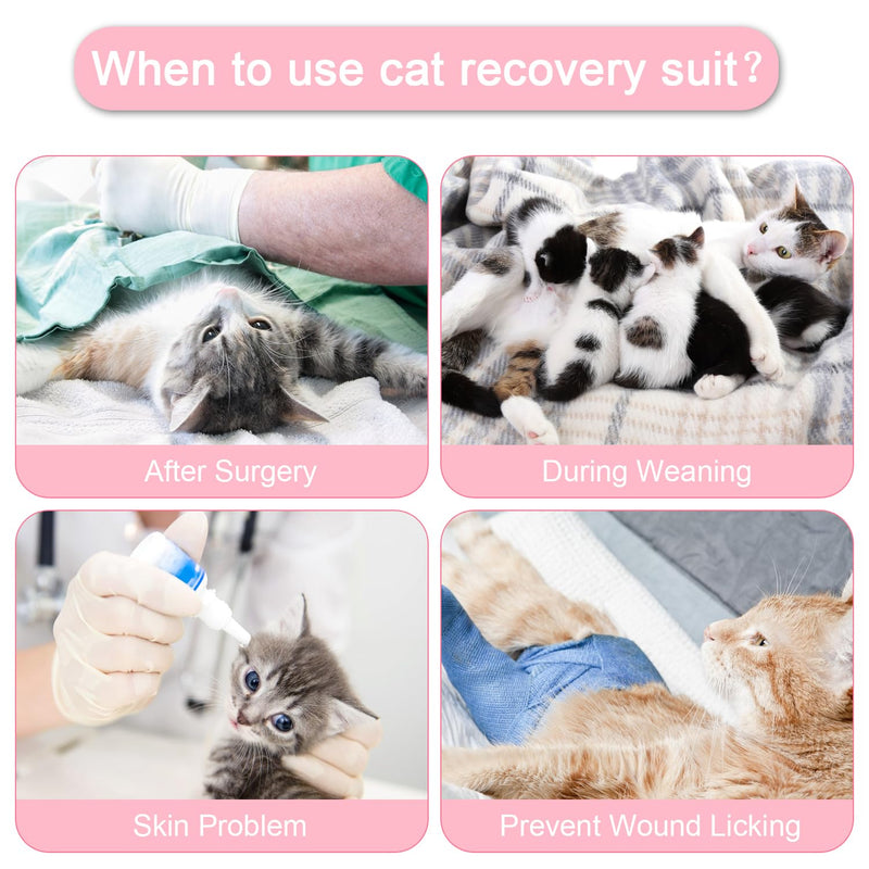 Cat Surgery Recovery Suit Small Dog Surgical Recovery Onesie Pet After Surgery Wear for Female Male Cat Doggy Pink Heart/Large L(Back Length:13.3"/34cm; Chest:16.3"/41cm） - PawsPlanet Australia