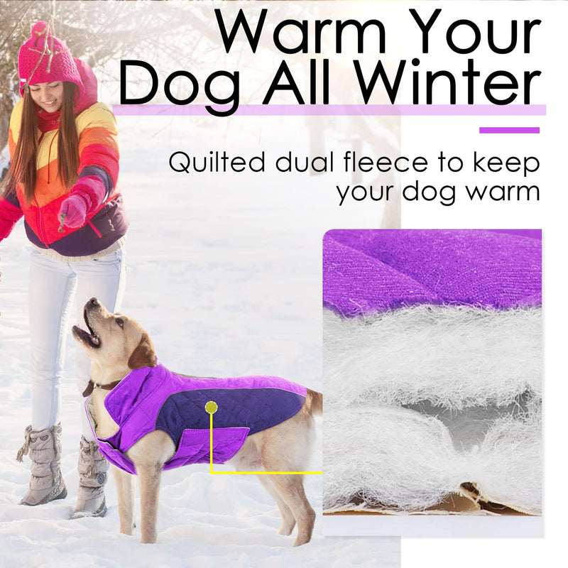 ThinkPet Dog Cold Weather Coats - Cozy Waterproof Windproof Reversible Winter Dog Jacket, Thick Padded Warm Coat Reflective Vest Clothes for Puppy Small Medium Large Dogs S(Chest 17½-19¼", Back 11½" ) Purple - PawsPlanet Australia