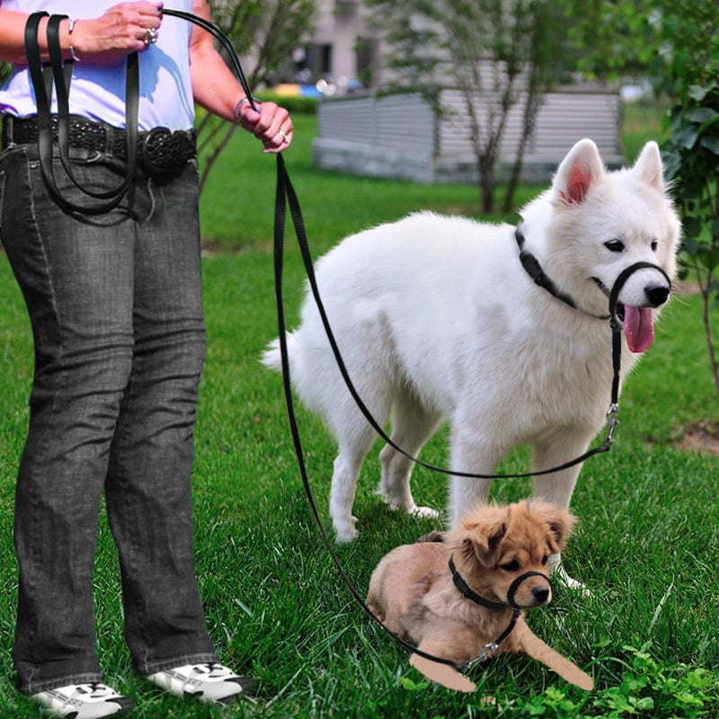 BARKELSS Dog Head Collar, Adjustable Padded Dog Halter to Stop Pulling, Gentle Control on Walks, Includes 1 Leash & Training Guide L Black - PawsPlanet Australia