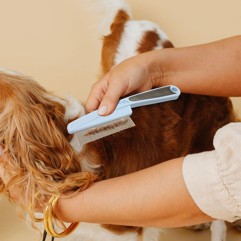 Pet Comb, Stainless Steel Fine-Tooth Pet Brush with Ergonomic Rubber Handle, Dog Comb for Grooming - PawsPlanet Australia