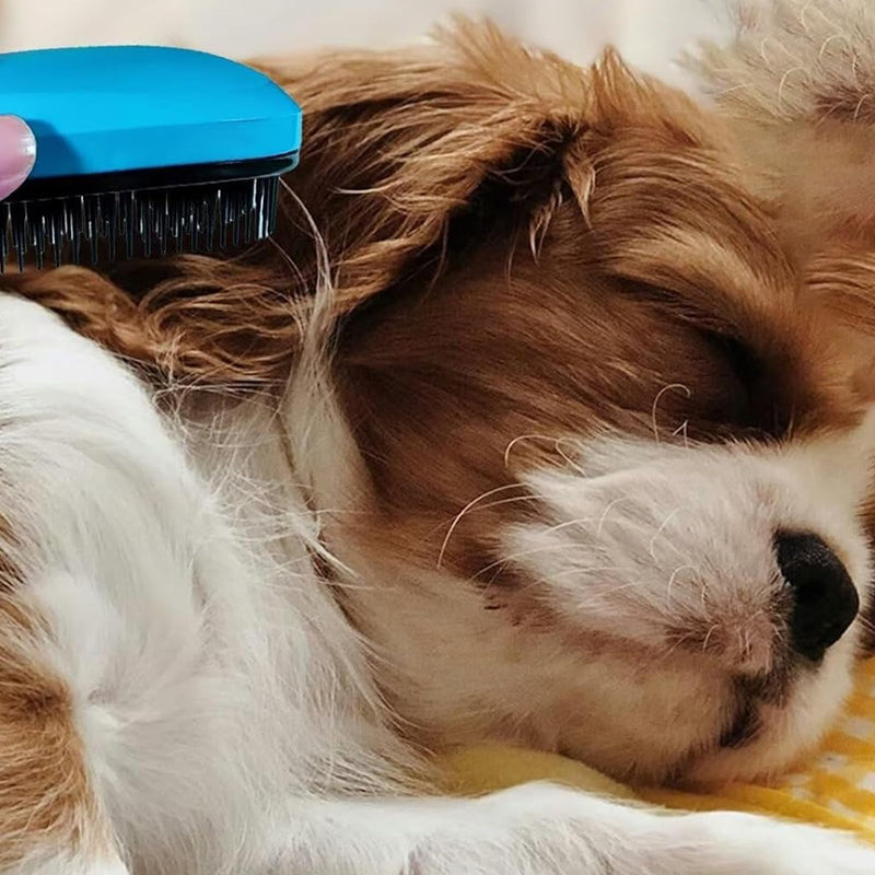 Dog Grooming Brush for Small Dogs & Puppies, Soft Bristle Puppy Brush for Shih Tzu, Yorkie, Teddy & Small Breeds, Gentle Deshedding & Massage, Easy Grip Handle (Blue)