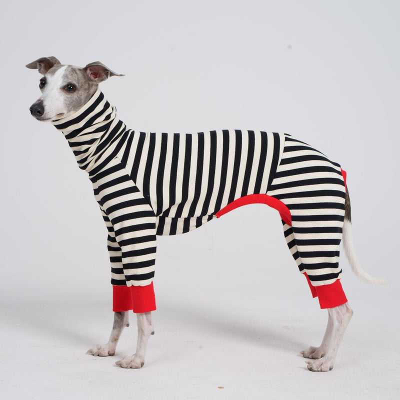 Italian Greyhound Onesie Clothes, Turtleneck Striped Shirt for Whippets Puppy, Light and Thin Shirt for Spring and Summer (Small) Small - PawsPlanet Australia