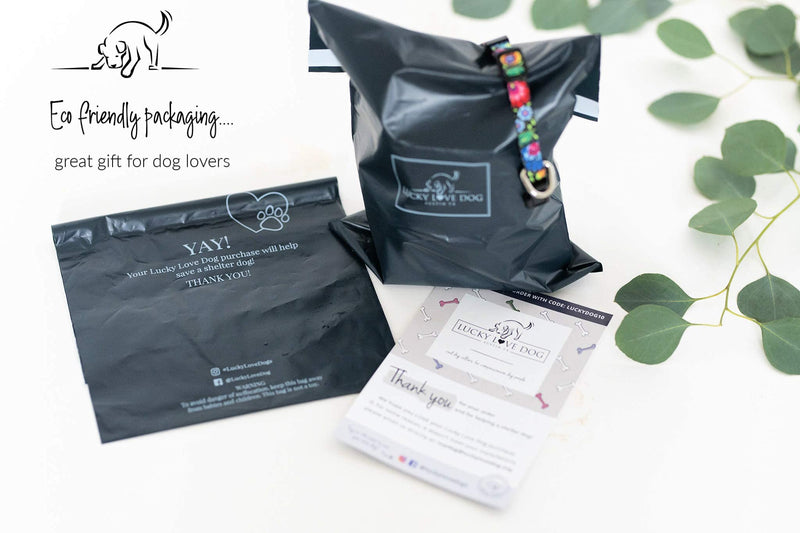 Lucky Love Dog Leash, Beautiful Vivid Patterns, Durable & Long Lasting (Blackbird, Small) Blackbird - PawsPlanet Australia