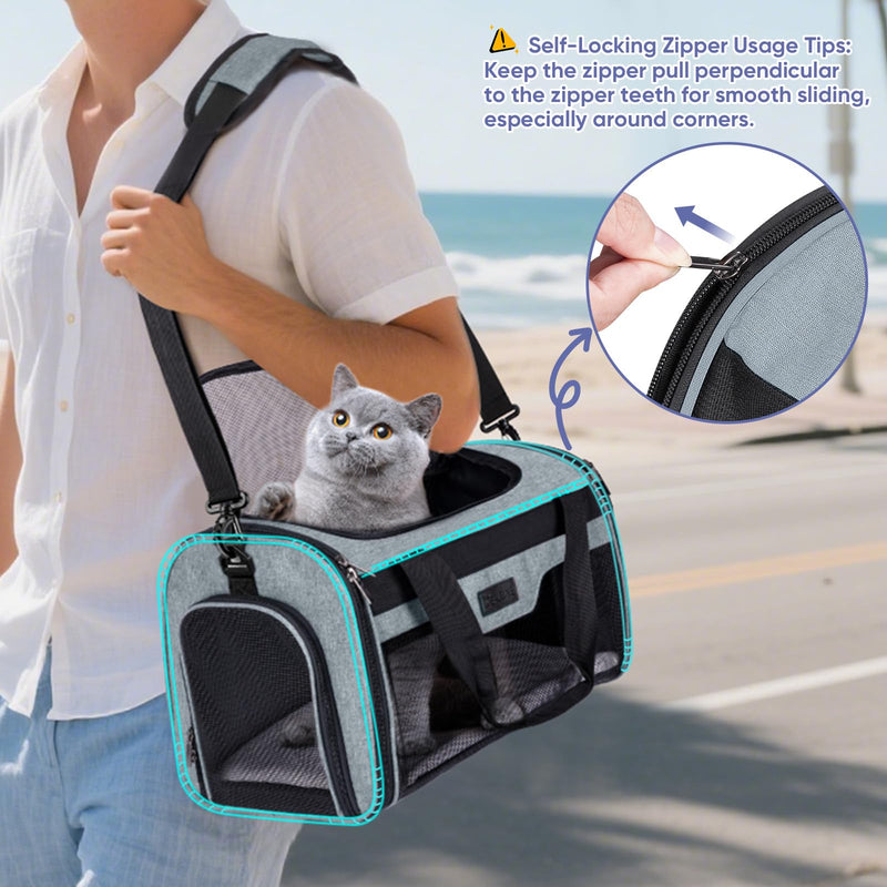 BALEINE Cat Carrier, Puppy Dog Carrier for Small Medium Pets Up to 15 Lbs, Soft-Sided Dog Travel Bag with Safety Zippers, Collapsible Pet Carrying Case (Gray, L, 17"x11"x11") Grey - PawsPlanet Australia