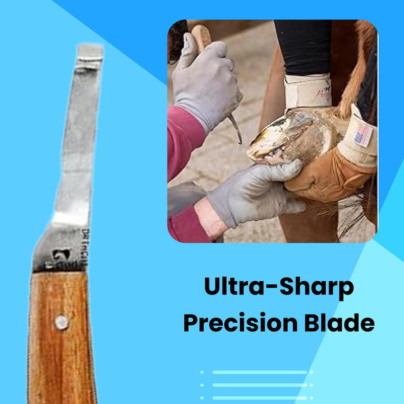 Hoof Knife with Narrow Single Sided Edge Right Hand Farrier Tool for Horses and Livestock – Premium Stainless Steel Hoof Trimming Knife with Ergonomic Contoured Handle for Better Grip Narrow Blade - RH