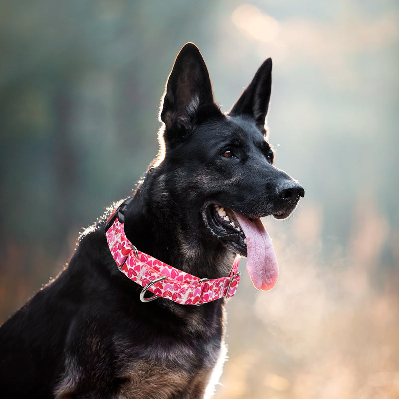 Martingale Collar for Dogs, Pink Heart Dog Collar for Small Medium Large Dogs, Girl Dog Collars with Quick-Release Buckle for Training, Walking, Hunting (L) A16 L (Neck 20"-28") - PawsPlanet Australia