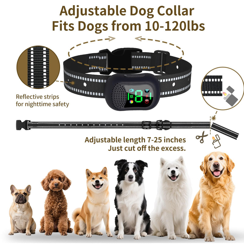 Dog Training Collar -4900Ft Dog Training Collar with Remote,IP67 Waterproof Electric Collar with 4 Training Modes,Support Remote Voice Call Function,Rchargeable E-Collarfor All Dog Sizes (Black) Black - PawsPlanet Australia