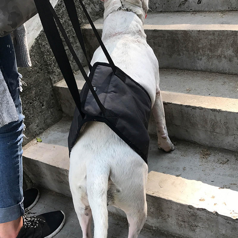Adjustable Dog Harness Dog Training Carrier Soft Padded Leads Non Pull Lifts Harness Pet Carrier Support for Hind Legs Male Large Dogs