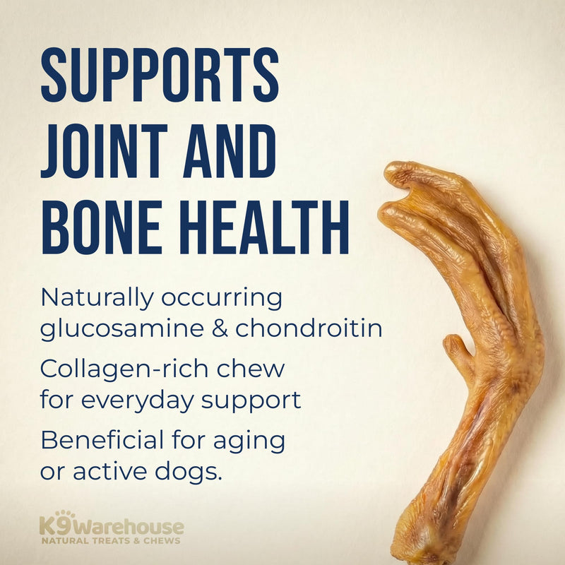 K9warehouse Duck Feet for Dogs – High Protein Dehydrated Dog Treats, Natural Crunchy Chews with Collagen, Glucosamine & Chondroitin for Joint & Hip Health, Dental Care, Small to Large Breeds (30 pcs) 30 Count - PawsPlanet Australia
