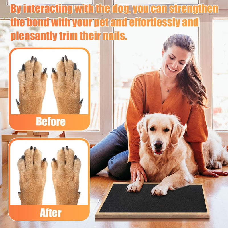 Pet Nail Self Adhesive Replacement Emery Paper Fits Most Dog Scratch Pad Cat Litter Box DIY on The Places Where Pets Like to Scratch Alternatives to Cat and Dog Nail Clippers (10in*13ft, Gray) 10in*13ft - PawsPlanet Australia
