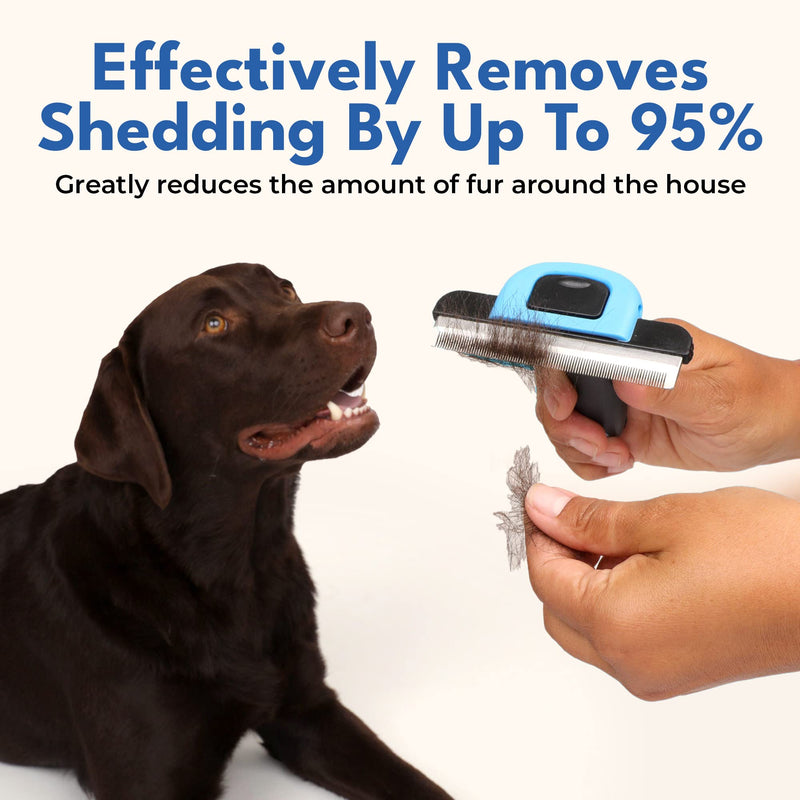 Deshedding Brush for Short Haired Dogs & Cats - Cat and Dog Brush for Shedding Short Hair - Highly Effective Deshedder Grooming Comb - PawsPlanet Australia