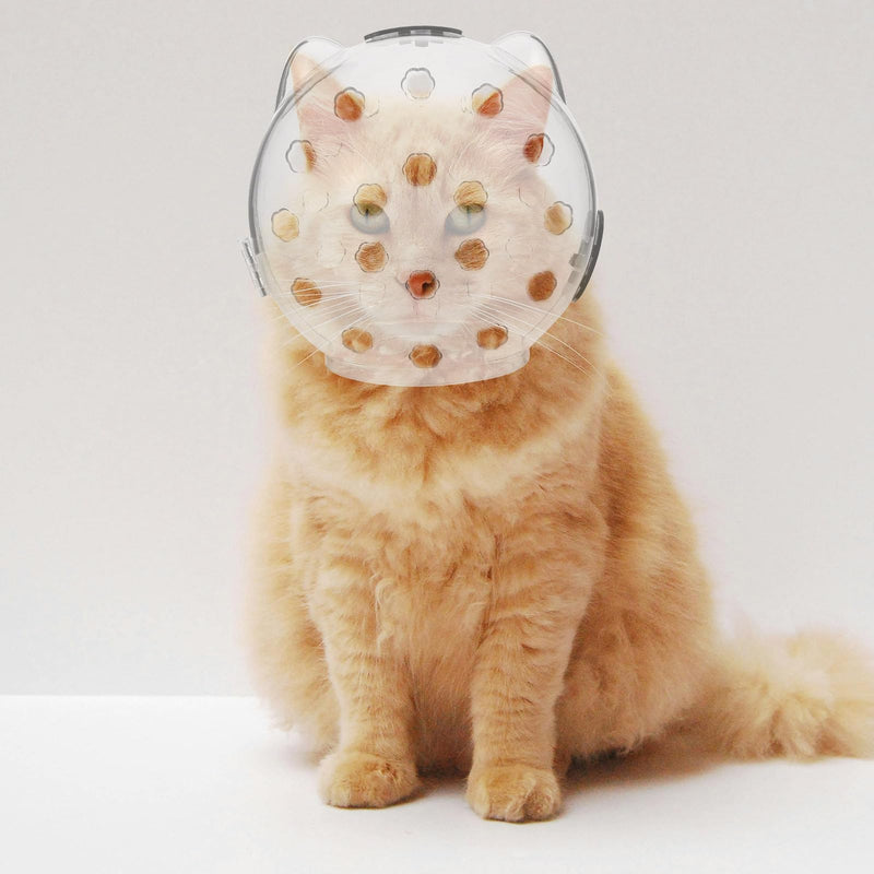 SOLUSTRE Breathable Cat Helmet with Bite Protection made of ABS Unique and Cute Design Wide Field of Vision for Cats for Grooming and Healing