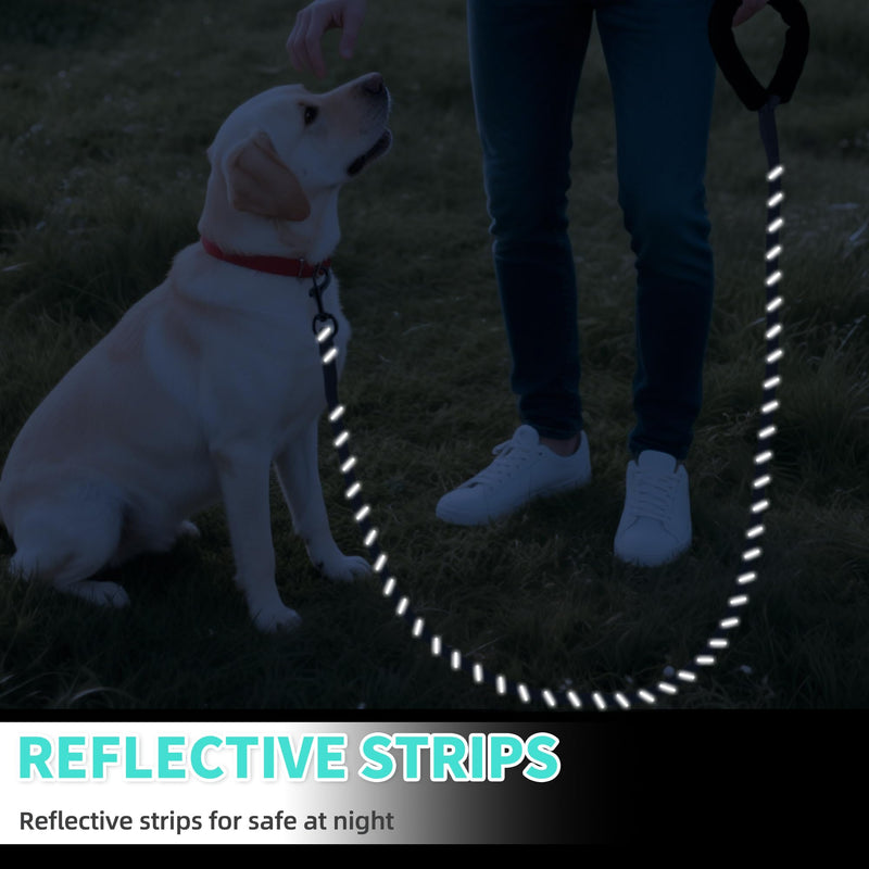 Mile High Life Reflective Dog Leash, with Comfortable Padded Handle, Black Nylon Rope Leash with Steel Tips, Heavy Duty 4 Feet Pet Leashes (Black,72 Inches) 6 Feet Reflective Nylon Rope - Black - PawsPlanet Australia